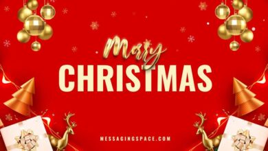 100+ Cute & Emotional Merry Christmas Wishes For Crush