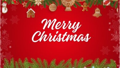 Cute & Funny Merry Christmas Quotes For Female Cousin