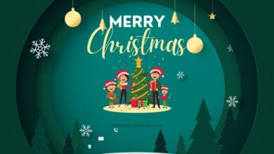 Cute & Inspirational Merry Christmas Wishes For Father