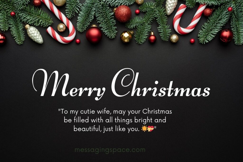 Cute Merry Christmas Text SMS for Wife