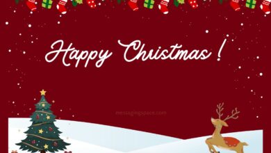 Funny & Cute Merry Christmas Quotes For Teacher
