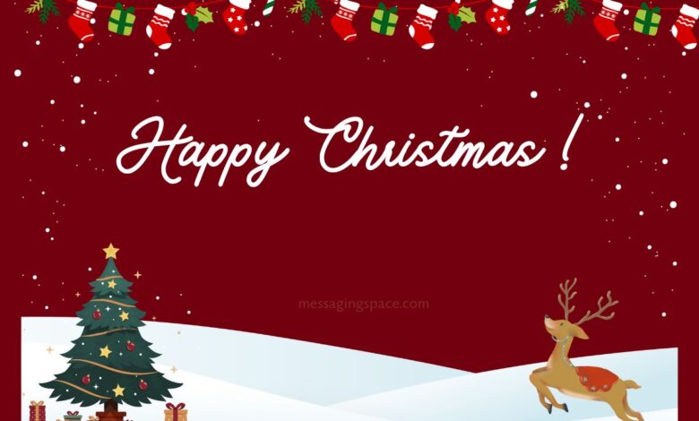 Funny & Cute Merry Christmas Quotes For Teacher