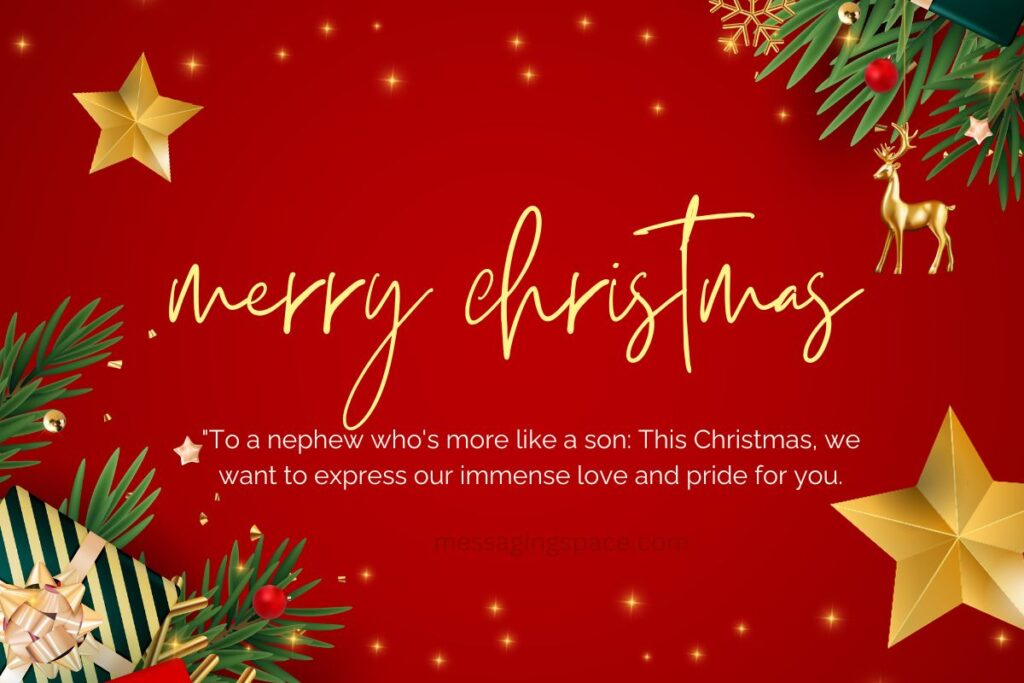 Long Merry Christmas SMS for Nephew
