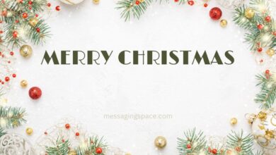 Merry Christmas Messages For Sister - Christmas Text SMS For Sister