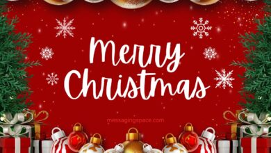 Merry Christmas Quotes For Brother - Christmas Text Quotes For Brother