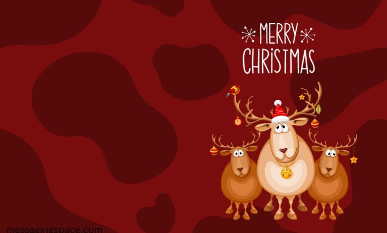 Religious & Heartfelt Merry Christmas Wishes for Husband