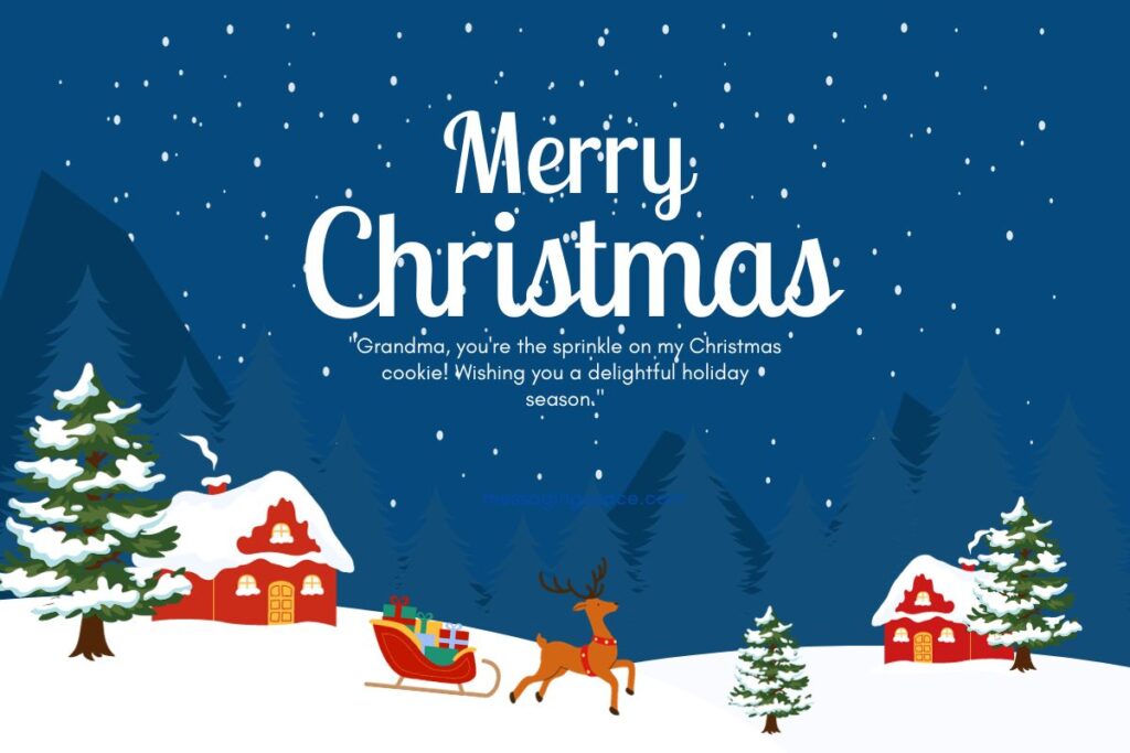 Cute Merry Christmas Text Greetings for Grandma