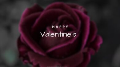Happy Valentines Messages, Text Wishes, Quotes, Greetings