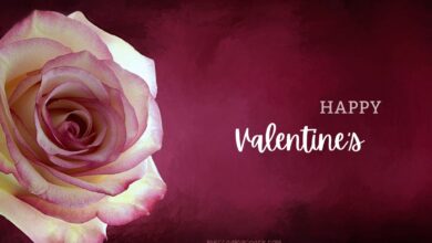 Romantic & Cute Happy Valentine Quotes for Lover