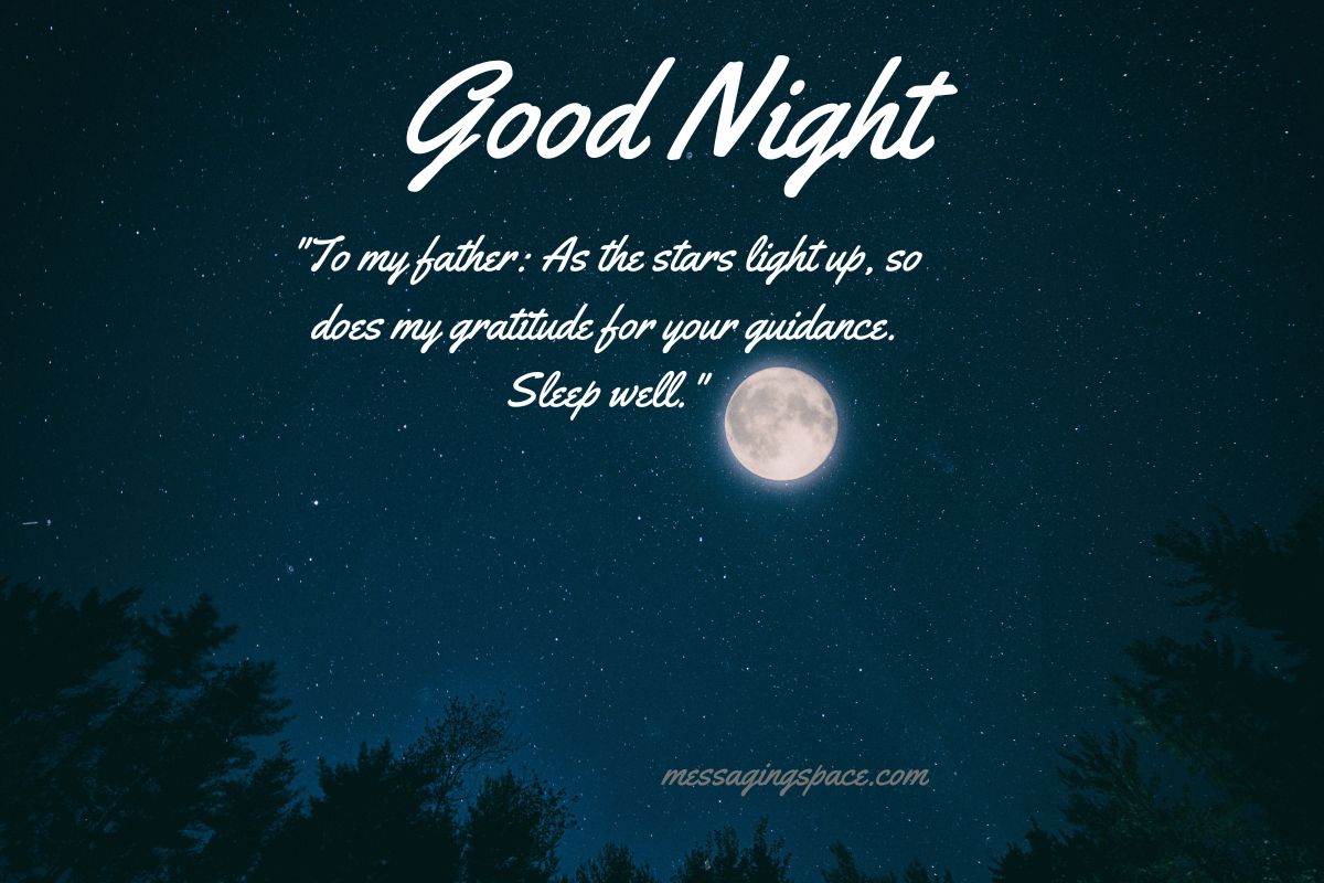 190-good-night-quotes-for-father-to-reflect-your-gratitude