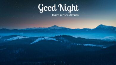Good Night Quotes for Fiance to Strengthen Your Bond
