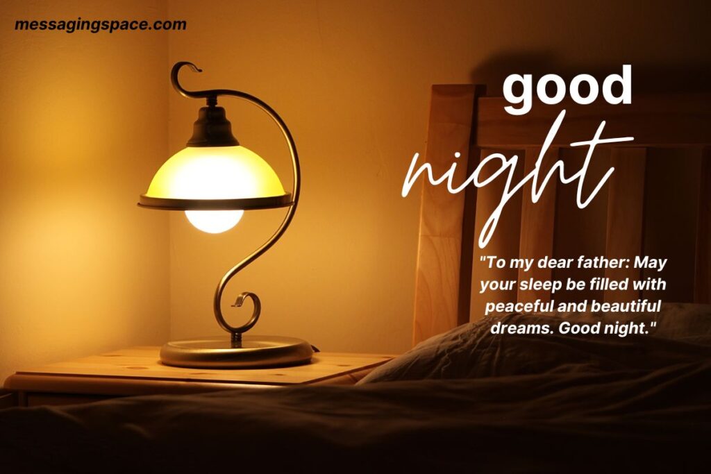 Good Night Text Messages for Father