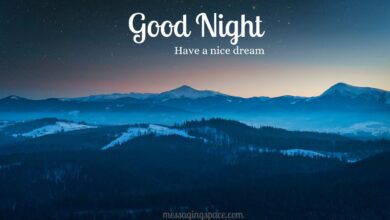 Good Night Wishes for Brother for a Restful Night