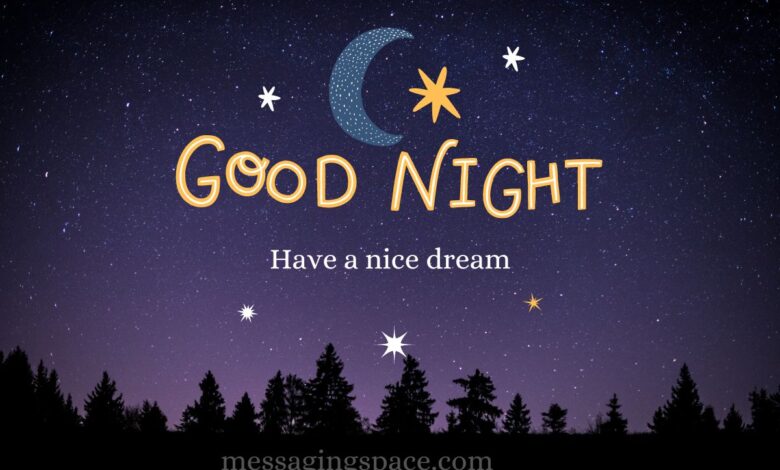 Good Night Wishes for Sweetheart to End the Day with Love