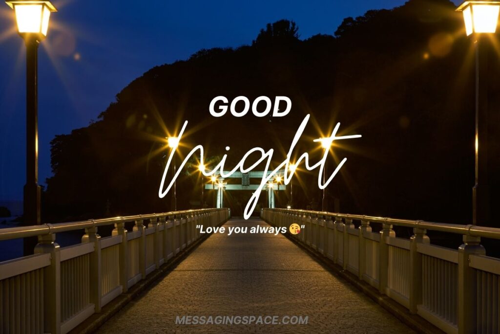 Short Good Night Text Wishes for Lover