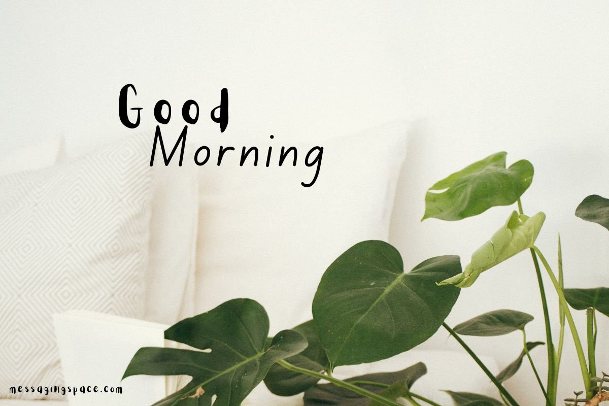 210+ Thoughtful & Sweet Good Morning Quotes for Mother