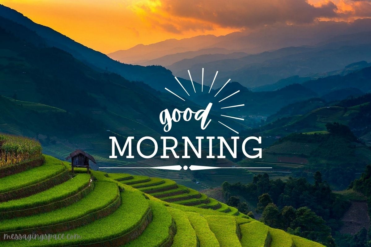 Unique & Heartfelt Good Morning Messages for Father